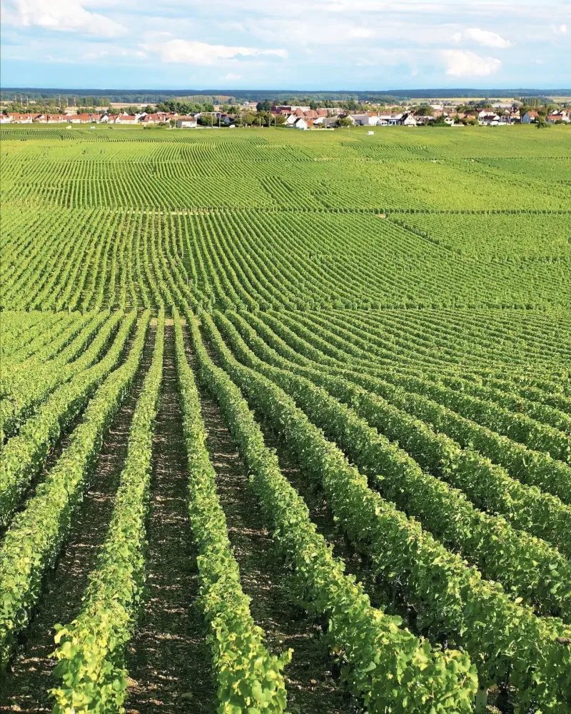 photo-michel-turgy-4